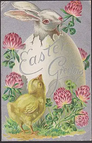 Eastern greetings Ostern Haase Küken USA 1909 Prägekarte