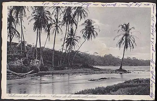 Costa Rica Limon Palmas al atardecer costa atlantica Palmen 1933
