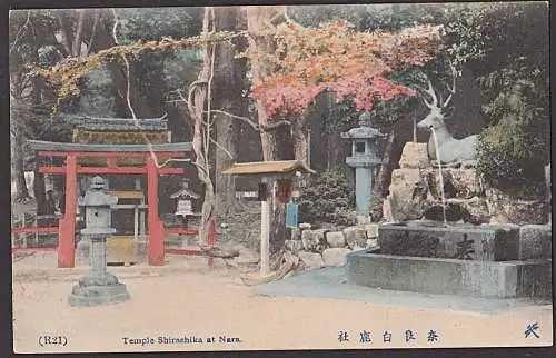 Nara Temple Shirashika Japan Nippon Hirsch Statue Brunnen Quelle Water