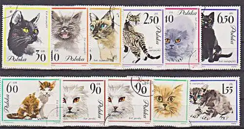Polen 1332 - 1341 Katze chats gato cat cot animal Perserkatze gestempelt used