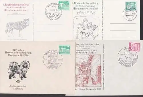 Dog Hunde Jagdhunde, Dorfspitz, SoSt. Leipzig, Magdeburg, zw. 1984 und 1987 Erfurt