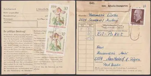 Semlow Kr. Ribnitz-Damgarten, Paketkarte, 70 Pf W. Ulbricht und 30 Pf(2) Ziegelroter Rißpilz,als Eilpaket 2.5.74