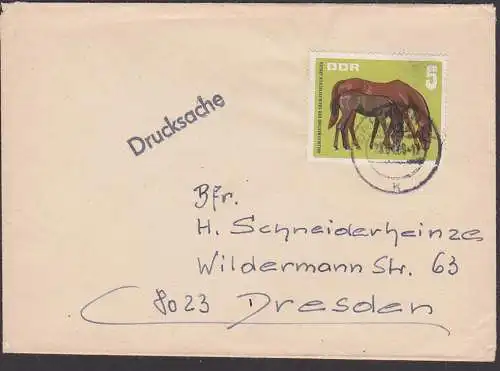 Vollblutmeeting der sozialistischen Länder 5 Pf Mutterstute mit Fohlen DDR 1302, Drucksache portogenau, horse