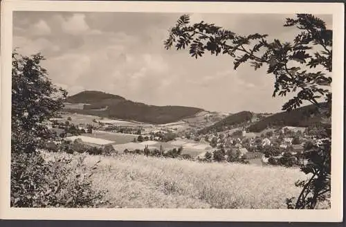 Geising (Erzgebirge)  SoSt. 1919 mit Geisingberg, Stadtwappen auf Foto-Ak Ortsansicht