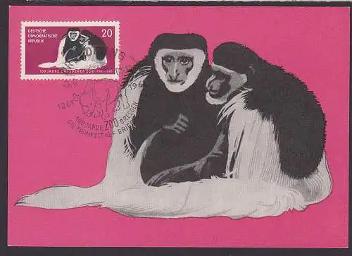 DDR 1961 Nr 826 Ansichtskarte Sonderstempel
