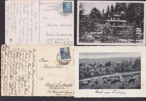 Tabarz Thüringerwald Schweizerhaus im Lauchgrund, Kuhherde a.d. Waldwiese, 2 Ak