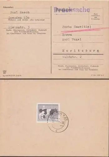Zuchtkuh, Milchkuh, Landwirtschaftsausstellung 5 Pfg. auf Karte 30.3.60 (628)