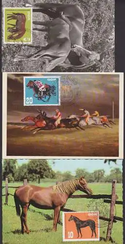 MC 12202 - 04 Vollblutmeeting Pferde, Moritzburg