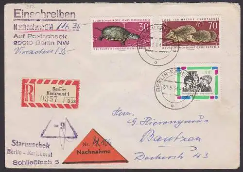 Berlin-Karlshorst R-NN-Brief mit Sumpfschildkrte, Igel (382)