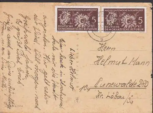 Naturschutzwoche 5 Pfg. Silberdiestel (561) auf Karte OSt. Greifswald 3.8.57
