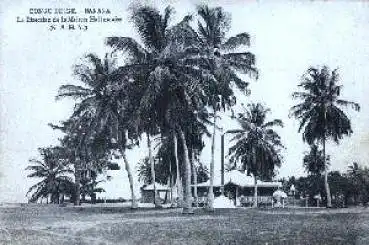 Banana Belgisch Kongo Direction de la Maison Hollandaise *ca.1930