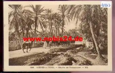 Kamele in einer Oase Route de Touggourt (Arabien) *ca.1920