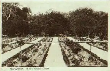 Aegypten Egypt, Alexandria Antoniadis Garten *ca. 1910