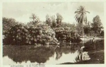 Alexandria In the Nuzha Garten *ca. 1910