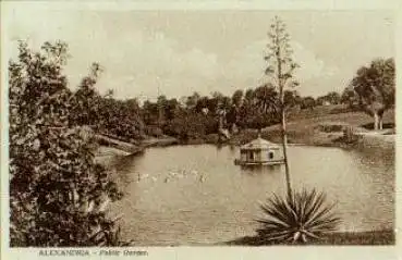 Alexandria Public Garden Parkanlagen *ca.1910