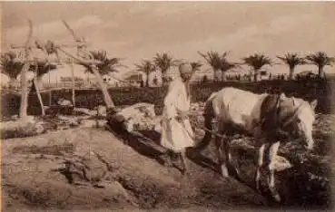 Landwirtschaft Tunesien Bauer beim bewässern der Felder *ca.1920