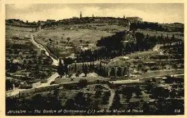Israel Jerusalem Gethsemane Garten und Ölberg  *ca. 1960