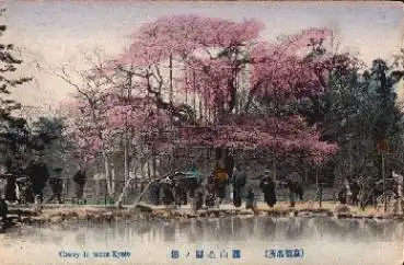 Kyoto Cherry Blessoms * 13.9.1924