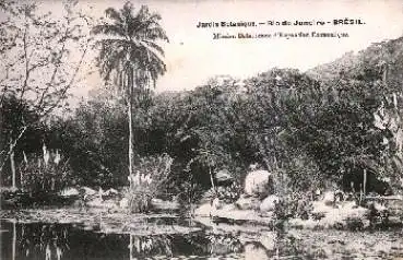 Rio de Janeiro Jardin Botanique Botanischer Garten Brasilien *ca. 1920