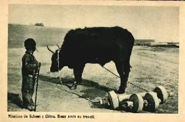 China Junge mit Ochse bei der Feldarbeit Landwirtschaft * ca. 1910
