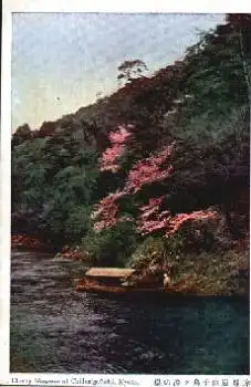 Kyoto Cherry Blossoms at Chidorigafuchi Japan * ca. 1920
