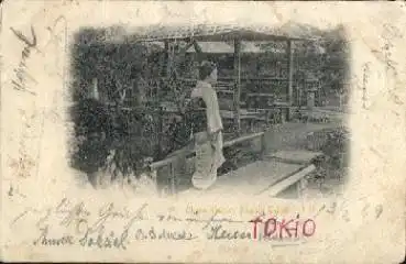 Tokio Okano Garden Negishi  gebr. ca. 1900