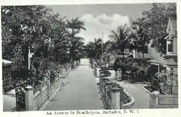 Bridgedown Barbados Avenue in Strathclyde  *ca. 1920