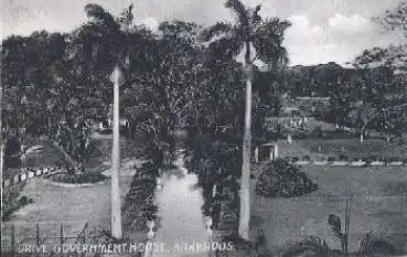 Bridgetown Barbados Government House Drive *ca.1920