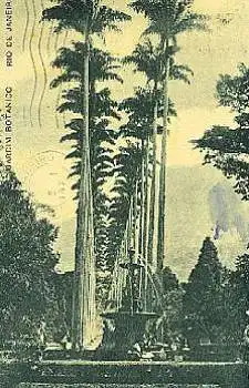 Brasilien Rio de Janeiro Botanischer Garten Jardim Botanico o 31.01.1923