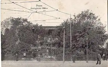 Posen Zoologischer Garten Tierpark o 05.11.1917
