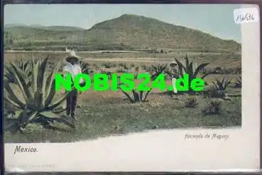 Mexiko Mexico Hacienda de Maguey Farm *ca. 1900