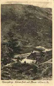 Riesengebirge Kleiner Teich mit Baude o 23.7.1942