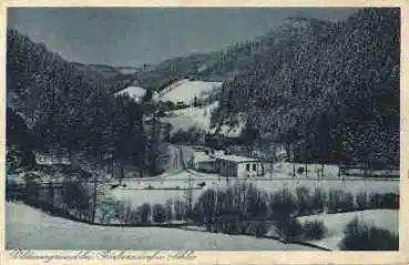 Riesengebirge Görbersdorf Blitzengrund o 28.11.1928