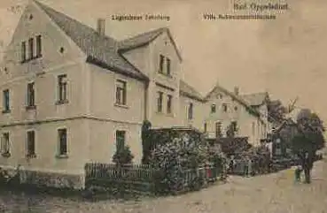 Bad Oppelsdorf Logierhaus Erholung Villa Schweizerschlößchen o ca. 1920