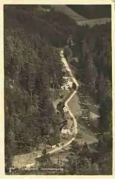 Wölfelsgrund Schneebergweg Grafschaft Glatz *ca. 1930