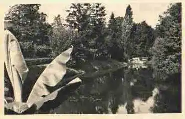 Greifenberg Pommern Karpfenteich *ca. 1940