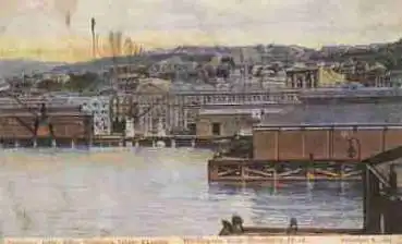 Wellington from Steamers Deck o 1907