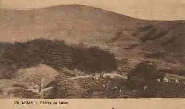 Libanon Cedres du Liban * ca. 1930