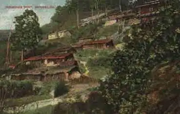 Darjeeling India * ca. 1920