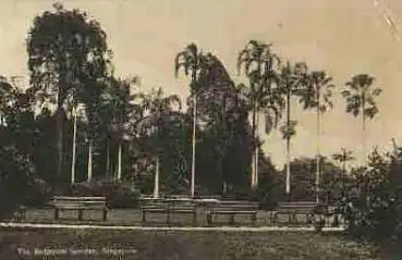 Botanischer Garten Singapore o ca. 1930