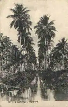 Singapur Taujong Kattong *ca. 1910