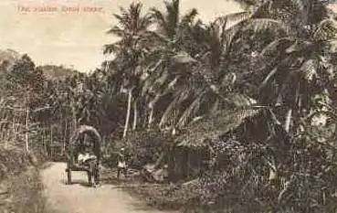 Strassenscene Ceylon  *ca. 1910