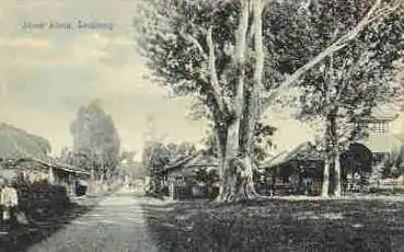 Java Lembang Aloon Aloon Nederlandsch-Indie *ca. 1900