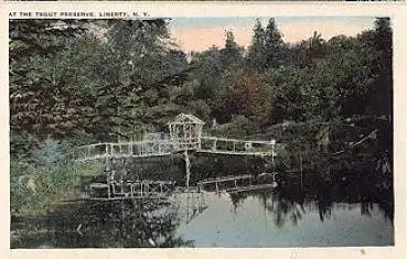 New York City Liberty Trout Reserve park gebr.18.6.1929