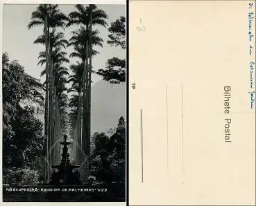 Brasilien Rio de Janeiro Avenida de Palmeiras *ca.1930