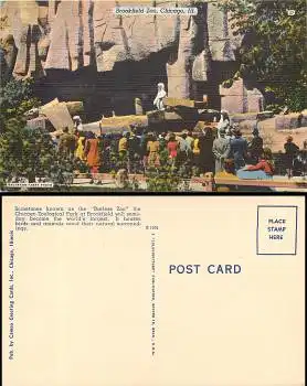 Illinois Chicago Brookfield Zoo Eisbären *ca.1950