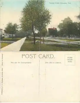 Michigan Escanaba Tweedy Street  *ca.1910