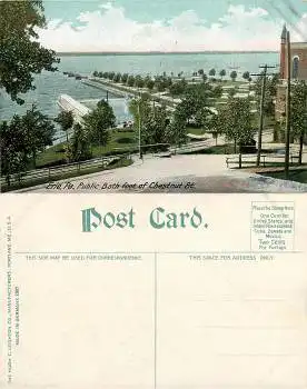 Pennsylvania Erie Chestnut Str. *ca.1910