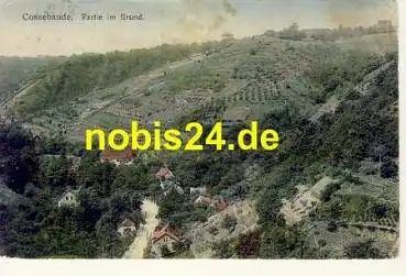 Cossebaude Dresden  im Grund o 1918