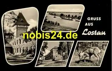 39291 Lostau Rehkitz o 4.5.1963